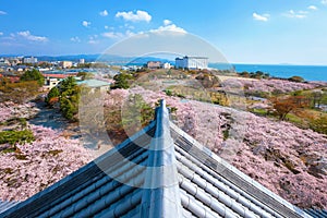 View from Nagahama Castle in Shiga, Japan