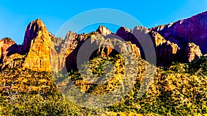 View of Nagunt Mesa, and other Red Rock Peaks of the Kolob Canyon part of Zion National Park, Utah, United Sates