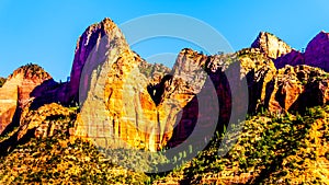 View of Nagunt Mesa, and other Red Rock Peaks of the Kolob Canyon part of Zion National Park, Utah, United Sates