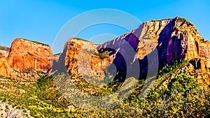 View of Nagunt Mesa, Shuntavi Butte and other Red Rock Peaks of the Kolob Canyon part of Zion National Park, Utah, United Sates