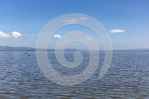 View of Naivasha lake, Ken
