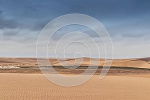 View of the Namibe Desert with vegetation. Angola. Africa