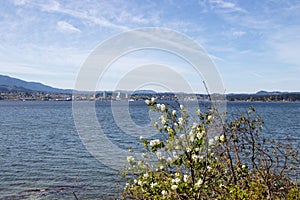 View of Nanaimo, British Columbia from Jack`s Point