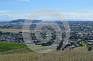 View of Napier, NZ from Sugar Loaf Reserve