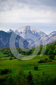 View on Naranjo de Bulnes or Picu Urriellu, limestone peak dating from Paleozoic Era, located in Macizo Central region of Picos photo