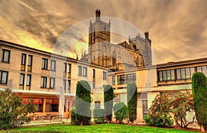View of the Narbonne Cathedral