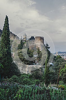 view of the Narikala fortress from the botanical garden in the city of Tbilisi Georgia