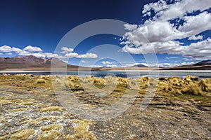 View of the National park of the andean fauna Eduardo Avaroa, with mountains in the background. Bolivia, South America