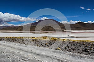 View of the National park of the andean fauna Eduardo Avaroa, with mountains in the background. Bolivia, South America