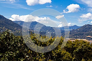 View of  the native flora and the beautiful mountains of the municipality of La Calera located on the Eastern Ranges of the