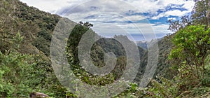 View of the natural landscape of the Levada do Caldeirão Verde, an iconic and tourist trail in the middle of the laurissilva