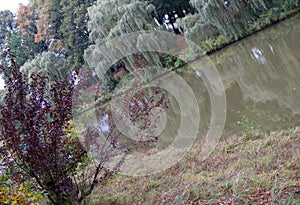 View on a natural landscape at the river hase with water reflections in meppen emsland germany