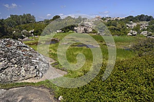 View of Monte Narcao