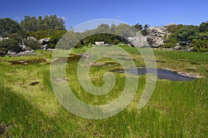 View of Monte Narcao