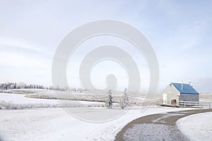 View of natural winter, snow and hoarfrost on ground in Rick Hansen Optimist playground , Regina, Saskatchewan, Canada