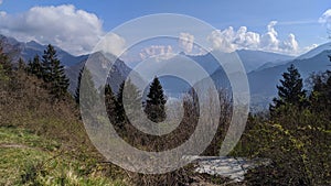 view of nature. Alpine panorama with forest and trees