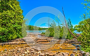 View at the nature around the pond of Cyprus Lake Trail in Bruce Peninsula National Park in Canada