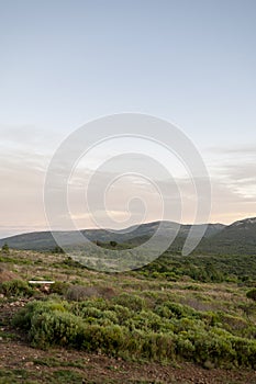 View of nature landscape at sunset.