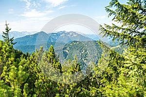 View of nature and mountains through trees from Herzogstand mountain, Bavaria, Germany