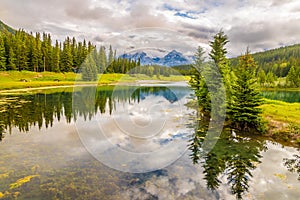 View at the nature near Vermillion lakes in Banff National Park - Canada