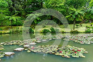 View of the nature park of Terra Nostra, located in Sao Miguel i