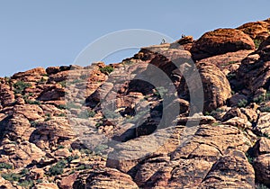 View of nature in Red Rock Canyon in Nevada, USA