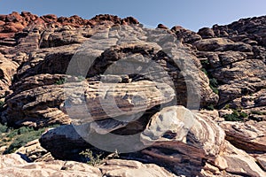 View of nature in Red Rock Canyon in Nevada, USA