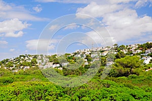 View on the nature reserve with green bushes near the beach Son Bou on Menorca