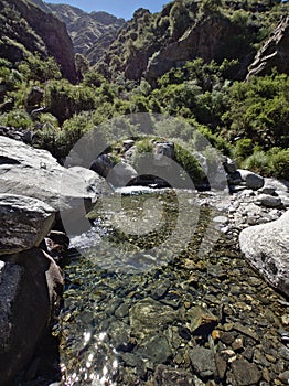 Nature reserve `Reserva Florofaunistica de RincÃÂ³n del Este`, in Merlo, San Luis, Argentina. photo