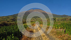 View on the Nature  at Temanggung Central Java Indonesia