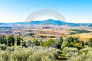 View at the Nature in Valley d Orcia near Pienza - Italy