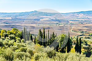 View at the Nature in Valley d Orcia near Pienza - Italy