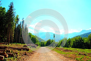 View near Gerosa Lake with tall trees, cut logs, a gravel road and a mountainous background