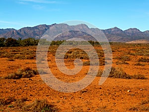 Flinders Ranges photo