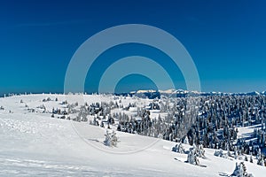 View near Veterne hill summit in winter Mala Fatra mountains in Slovakia