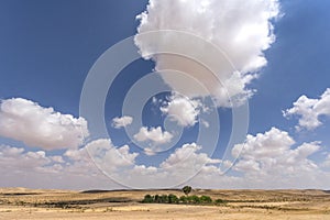 View in Negev desert on a sunny day