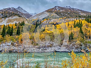 A View of the Nenana River Surrounded by Golden-Leaved Birch Trees in the Foreground of a Railroad Bridge and Mountainous Peaks