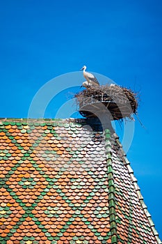 View of a nest with storks, symbol of the historic town of Colmar, also known as Little Venice, Colmar, Alsace.