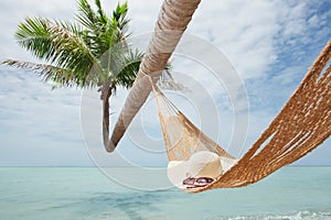 View of nice hummock with palms around in environment