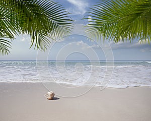 View of nice tropical beach with