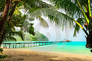 View of nice tropical sandy beach with green coconut palms trees