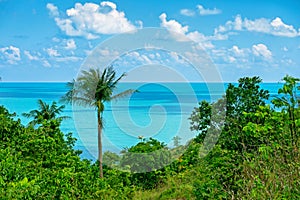 View of nice tropical sea bay with palm tree. Holiday and vacation concept