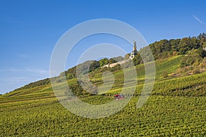 View of the Niederwald Monument, also known as Germania, on a sunny autumn day in the vineyards above RÃ¼desheim am Rhein Germany photo