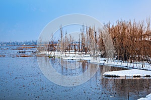 A view of Nigeen Lake in winter season, Srinagar, Kashmir, India