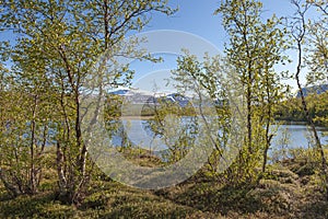 View from Nikkaloukta in northern Sweden photo