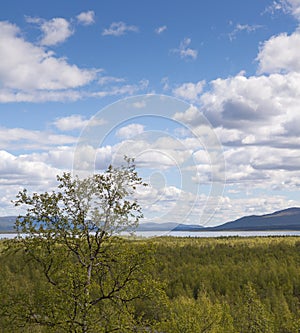 View from Nikkaloukta above the arctic circle in northern Sweden photo