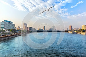 View of the Nile in the downtown of Cairo, Egypt
