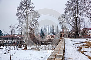 The view of Nishat Bagh Mughal Garden during winter season, Srinagar, Kashmir, India