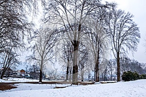 The view of Nishat Bagh Mughal Garden during winter season, Srinagar, Kashmir, India