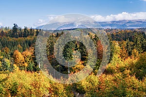 View at Nizke Tatry mountains from Muranska Planina during autumn